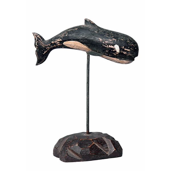 Oiseaux marins - animaux marins - Orque