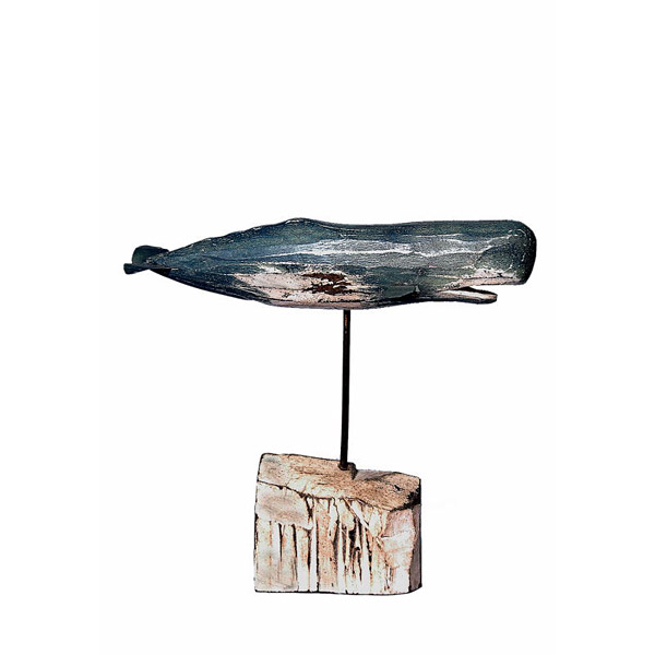 Oiseaux marins - animaux marins - Cachalot Oiseaux marins - animaux marins - Cachalot
