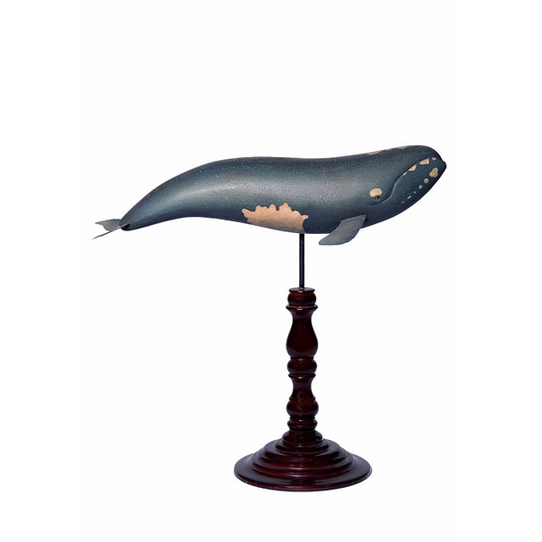 Oiseaux marins - animaux marins - Baleine Oiseaux marins - animaux marins - Baleine
