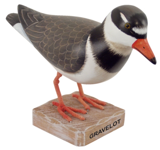 Oiseaux marins - animaux marins - Gravelot en bois Oiseaux marins - animaux marins - Gravelot en bois