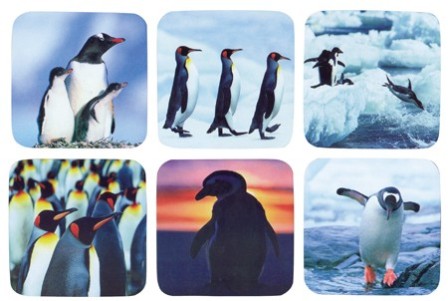 dessous de verre pingouins - décoration marine